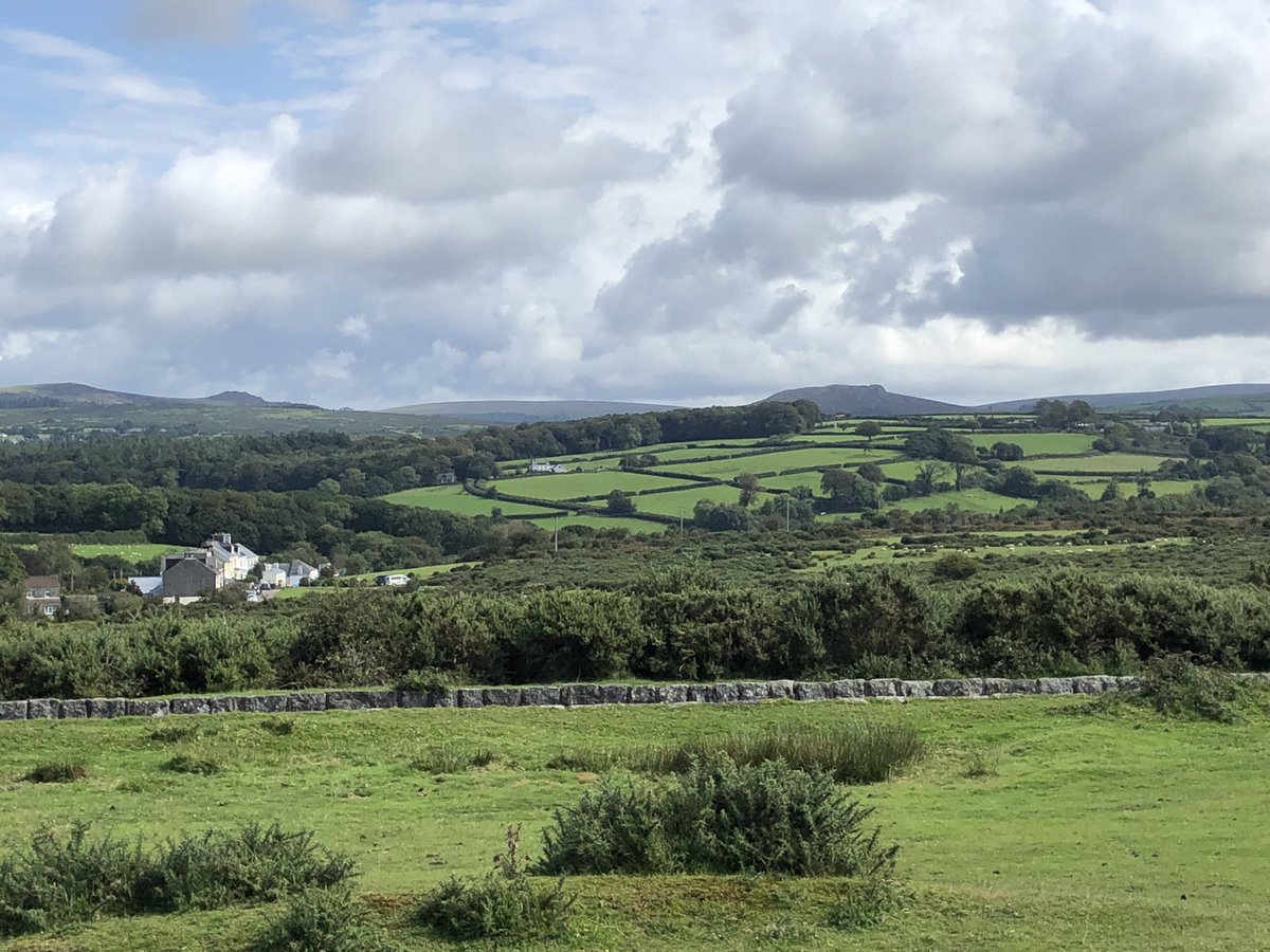 🌱Karen🌱 tweet media