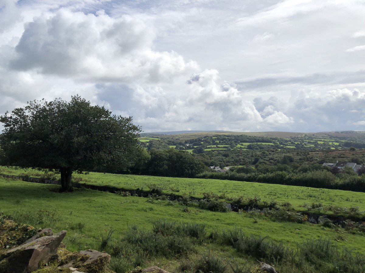 🌱Karen🌱 tweet media