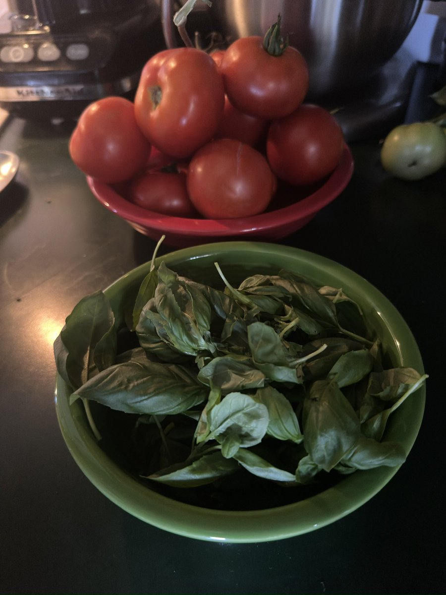 LordDolish's tweet photo. Making homemade marinara sauce; fresh garden tomatoes! #ChefLordDolish #Cooking #SaturdayKitchen https://t.co/IWWOMMJZlw