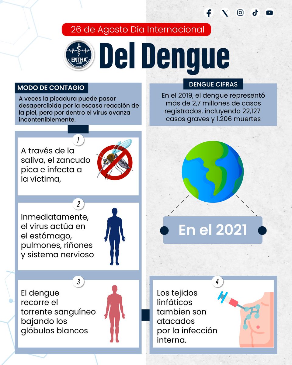 enthaltda's tweet photo. 🦟 26 de Agosto Día Internacional contra el Dengue 2023.

🌐 Fuente:

📌 Infografía:

https://t.co/bGJLK0KWcO

📌 Descripción:

https://t.co/4SPFTcwKrP

#dengue #díainternacionalcontraeldengue #denguedenguedengue #denguemata #dengueawareness #dengueprevention https://t.co/VMyfFmEWuV