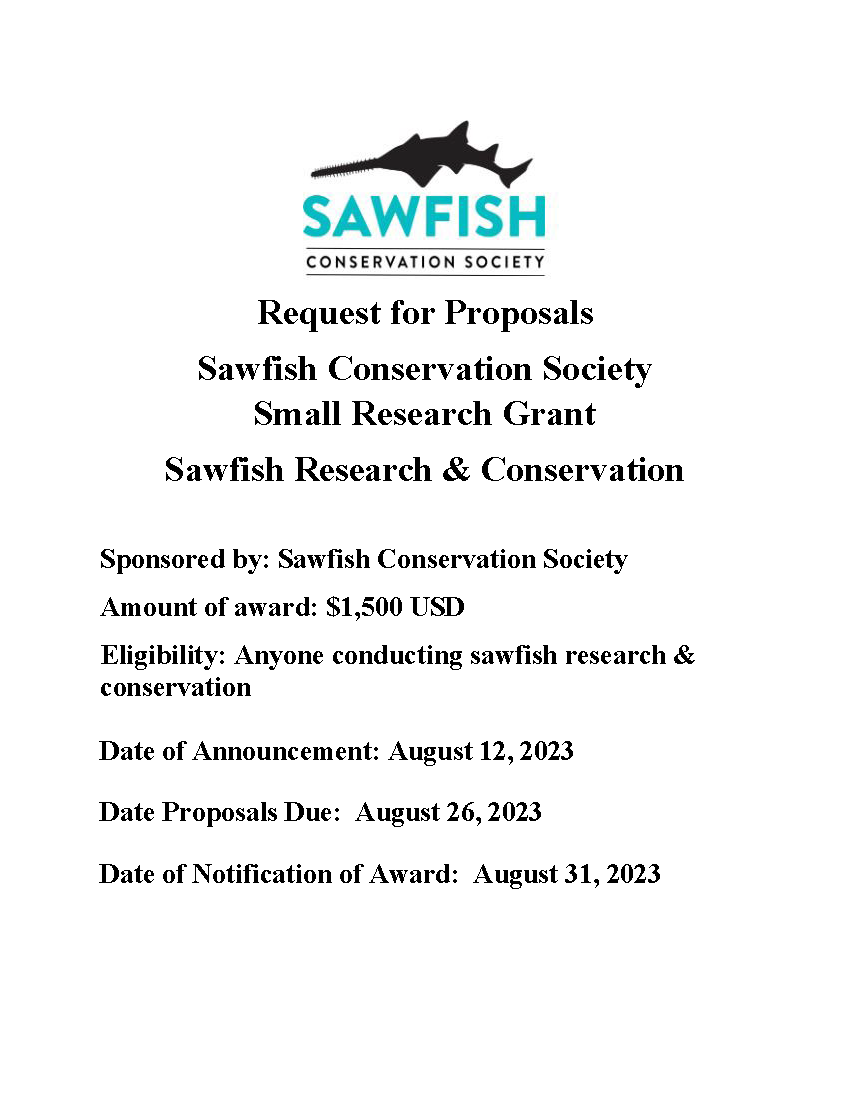 SawfishConservation tweet media
