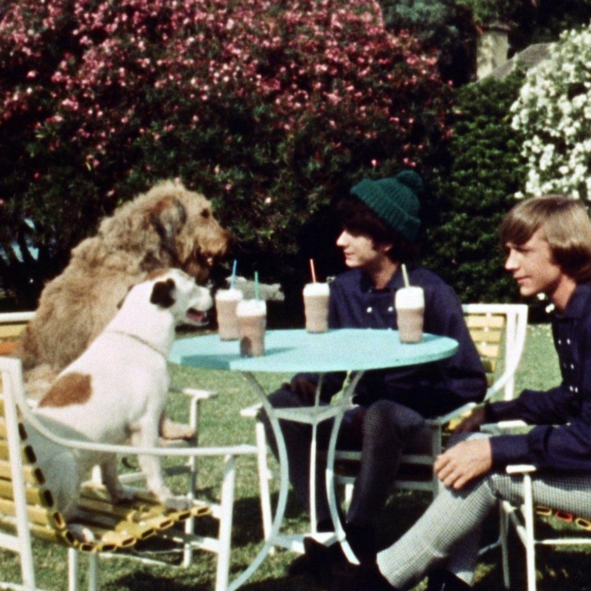 TheMonkees tweet picture