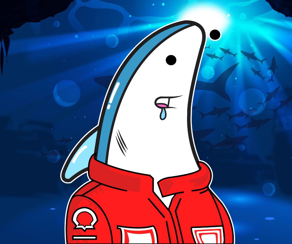 SharksDrippy's tweet photo. Global populations of deep-sea sharks and rays have declined by 71% since the 1970's. Currently 36% of the 1,200 shark and ray species are at risk of extinction! An estimated 100 million sharks and rays are killed each year due to overfishing and bycatch worldwide.

Drippy sharks collection nft