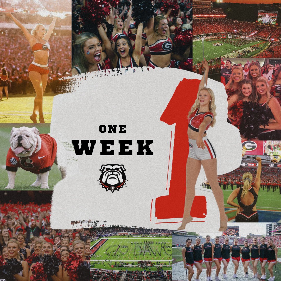 UGA Majorettes tweet media