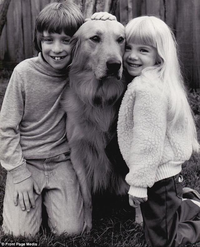 It’s National Dog Day! Who’s your favourite horror canine? #NationalDogDay #horror #HorrorMovies