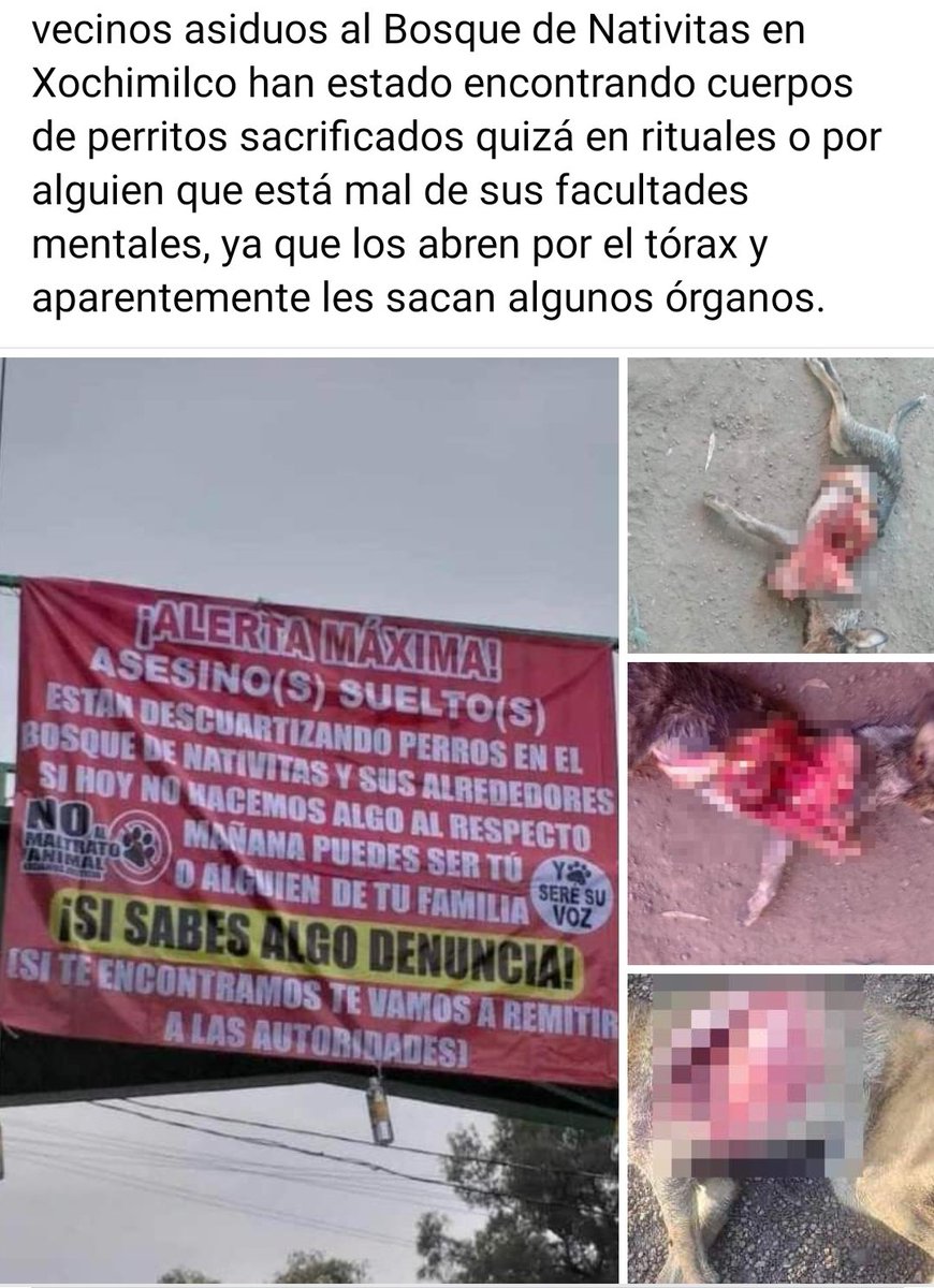 sarahiso's tweet photo. Si alguien tiene informes lo vamos a agradecer un chingo... Vamos a cazar a estos pinché smonstruos y que no vivan tranquilos un solo día de su infeliz vida #Xochimilco https://t.co/kjL8JBFSfm