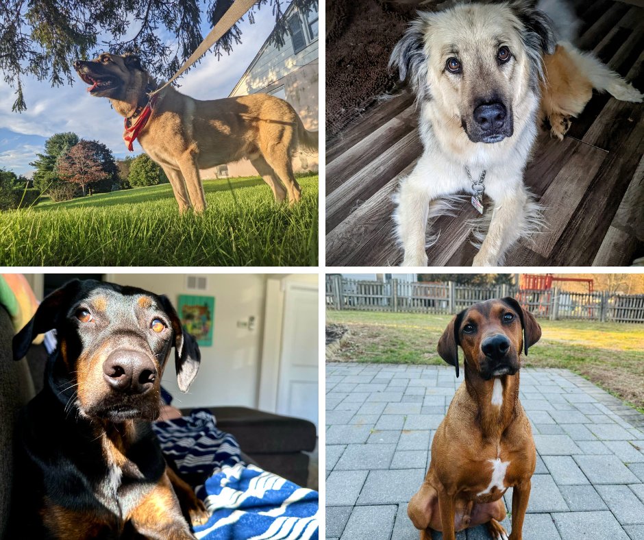 ThreeSummersCreative tweet media