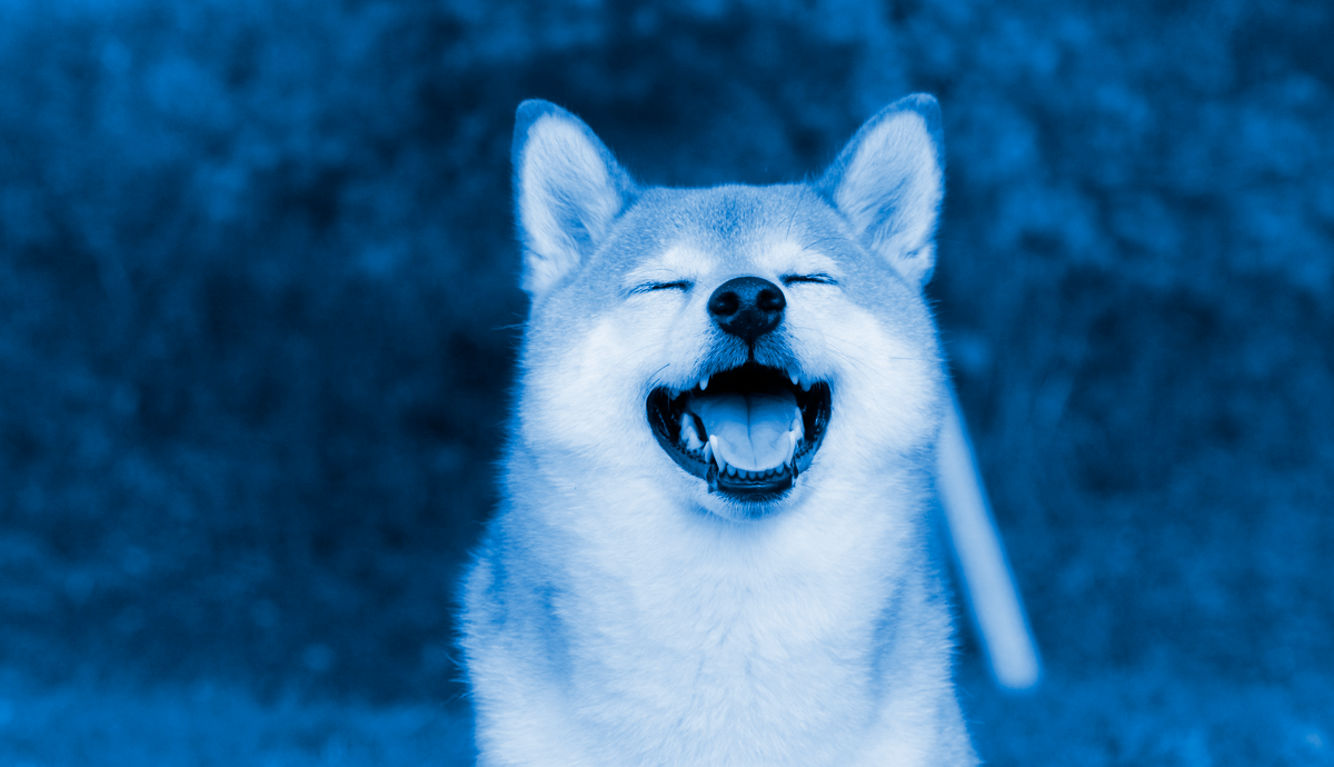 finytoken's tweet photo. Enjoy your weekend.

PRESALE IS LIVE = https://t.co/nqoBKlqsXh 

#Bitcoin  #FINY #NFT #ETH #Dogecoin #Crypto #NFTmeme #RespectMeme #Memes #cryptomemes #cryptocurrency #CryptoTwitter #Ethereum #CryptoCommunity #BuildOnBase #finyarmy https://t.co/aAQ6a26NqN