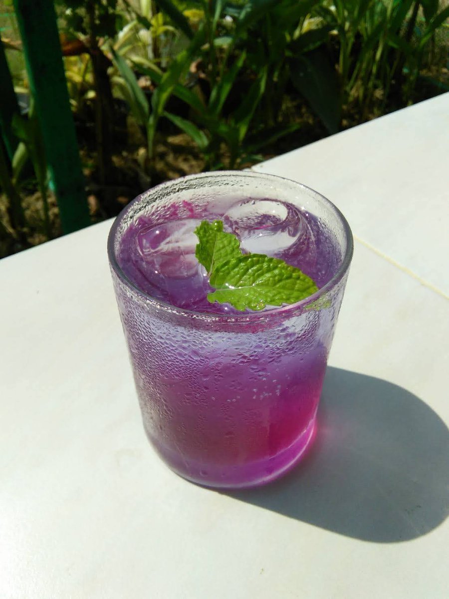 joyyywd's tweet photo. #Beautiful #Saturday to all.🍃🌸🍃🍹🍹
#BluePeajuice from my #garden It's very #nice dear #friends #Love it 😉😘
#HappySaturday #HappyWeekend #BluePea #ButterflyPea #juice #ButterflyPeaJuice #ButterflyPeaFlower #Herbs #HerbalWorld #mygarden #yummy #Delicious https://t.co/NWjaBl22oz
