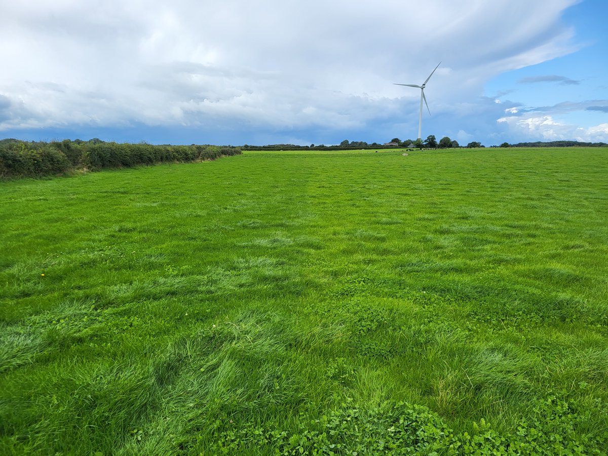 The headlands of this field had N25+S applied @170kg/ha 10 days ago, the difference is clearly visible in a 20m strip alongside the hedges in both pictures.

<a href="/SoilServicesInt/">Soil Services Int.</a> @ByrneAgri