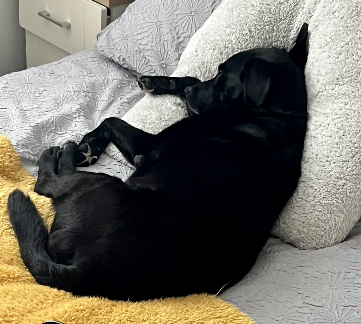 Michelle Nicholson tweet media