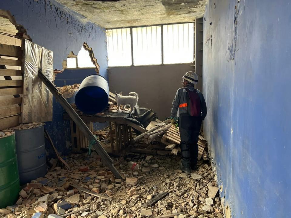 irodogs's tweet photo. A few days ago, the National IRO Mission Readiness Test in Rubble Search took place in Bogotá. 🇨🇴 We congratulate the teams who passed the demanding test. 👏 We are very proud of each and every one of them.💙
#IRODogs #SearchandRescue #MissionReady #Lifesaver #RubbleSearch https://t.co/NuwET2Abtv