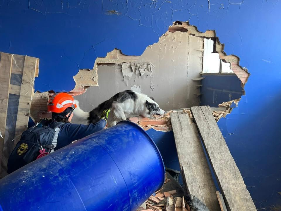 irodogs's tweet photo. A few days ago, the National IRO Mission Readiness Test in Rubble Search took place in Bogotá. 🇨🇴 We congratulate the teams who passed the demanding test. 👏 We are very proud of each and every one of them.💙
#IRODogs #SearchandRescue #MissionReady #Lifesaver #RubbleSearch https://t.co/NuwET2Abtv