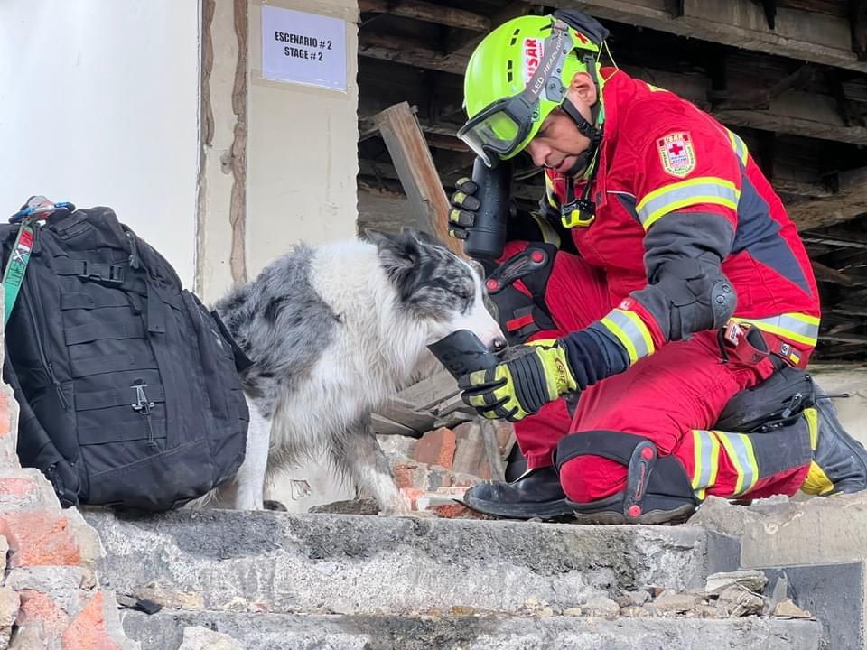 irodogs's tweet photo. A few days ago, the National IRO Mission Readiness Test in Rubble Search took place in Bogotá. 🇨🇴 We congratulate the teams who passed the demanding test. 👏 We are very proud of each and every one of them.💙
#IRODogs #SearchandRescue #MissionReady #Lifesaver #RubbleSearch https://t.co/NuwET2Abtv