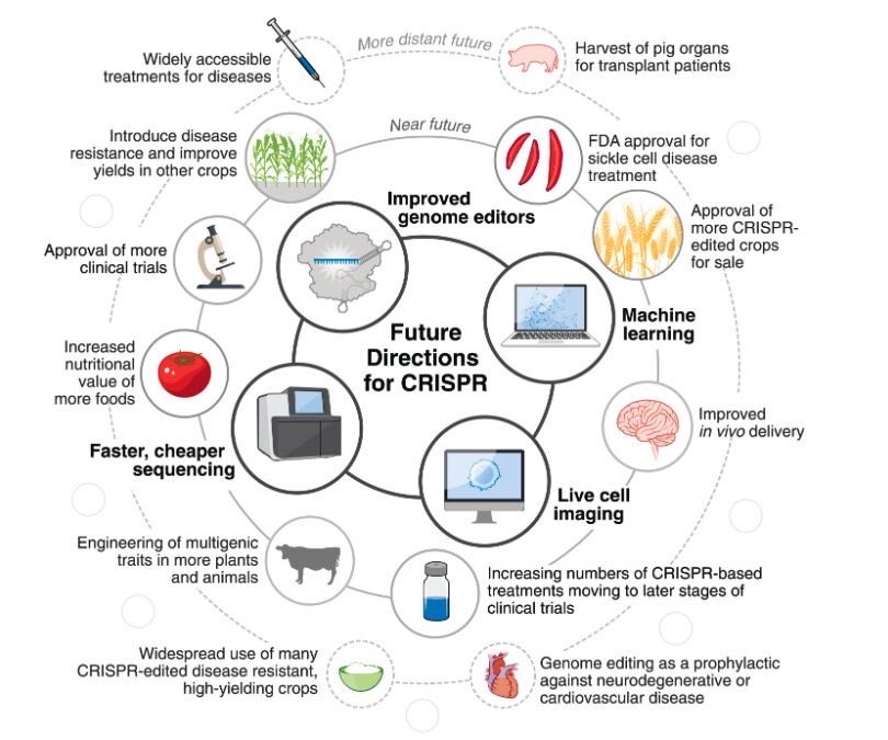 kaoutharlbiati's tweet photo. Visually, the Near and more distant Future Directions for CRISPR https://t.co/qn8mkdIP9C