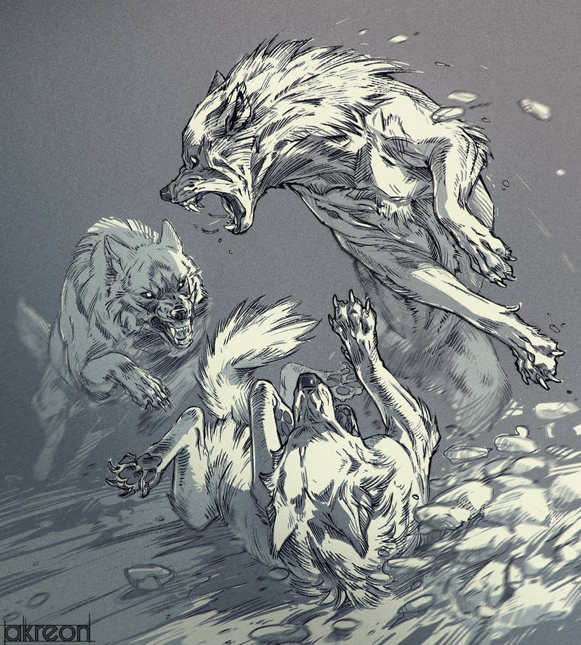 _akreon_'s tweet photo. Happy #InternationalDogDay! 
🐺🐶 https://t.co/vVGDM43LKj