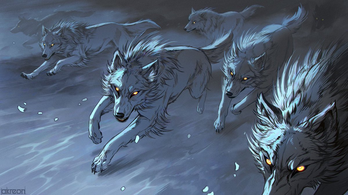 _akreon_'s tweet photo. Happy #InternationalDogDay! 
🐺🐶 https://t.co/vVGDM43LKj