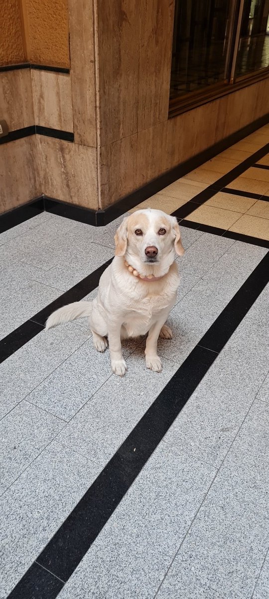 Don Berri tweet media