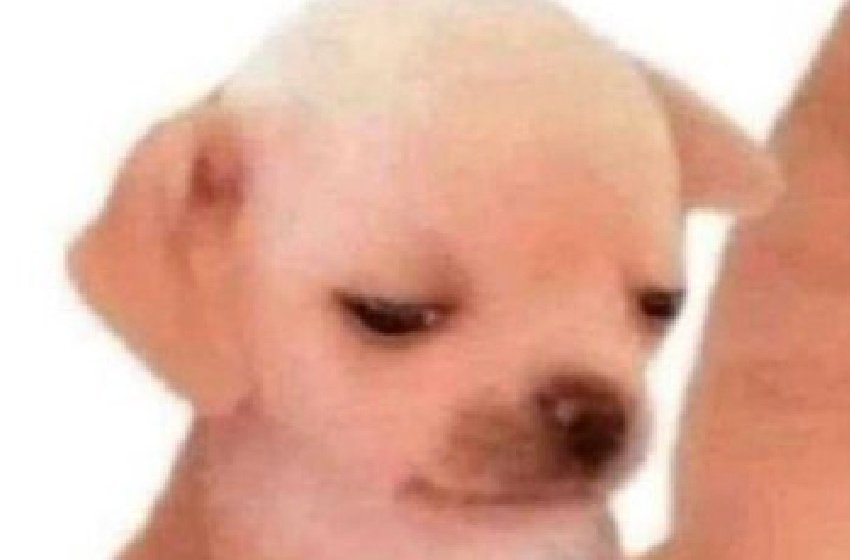 <a href="/notgwendalupe/">Culture</a> That's horrible, was there any photo evidence of said crimes ?