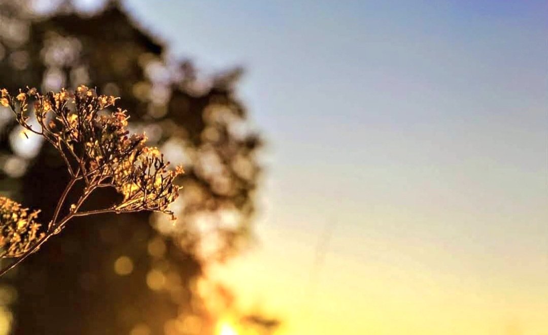 MirellaTurek's tweet image. Okryje cię swymi piórami
i schronisz się pod Jego skrzydła:
Jego wierność to puklerz i tarcza.
W nocy nie ulękniesz się strachu
ani za dnia - lecącej strzały,
ani zarazy, co idzie w mroku,
ni moru, co niszczy w południe
#Psalm91