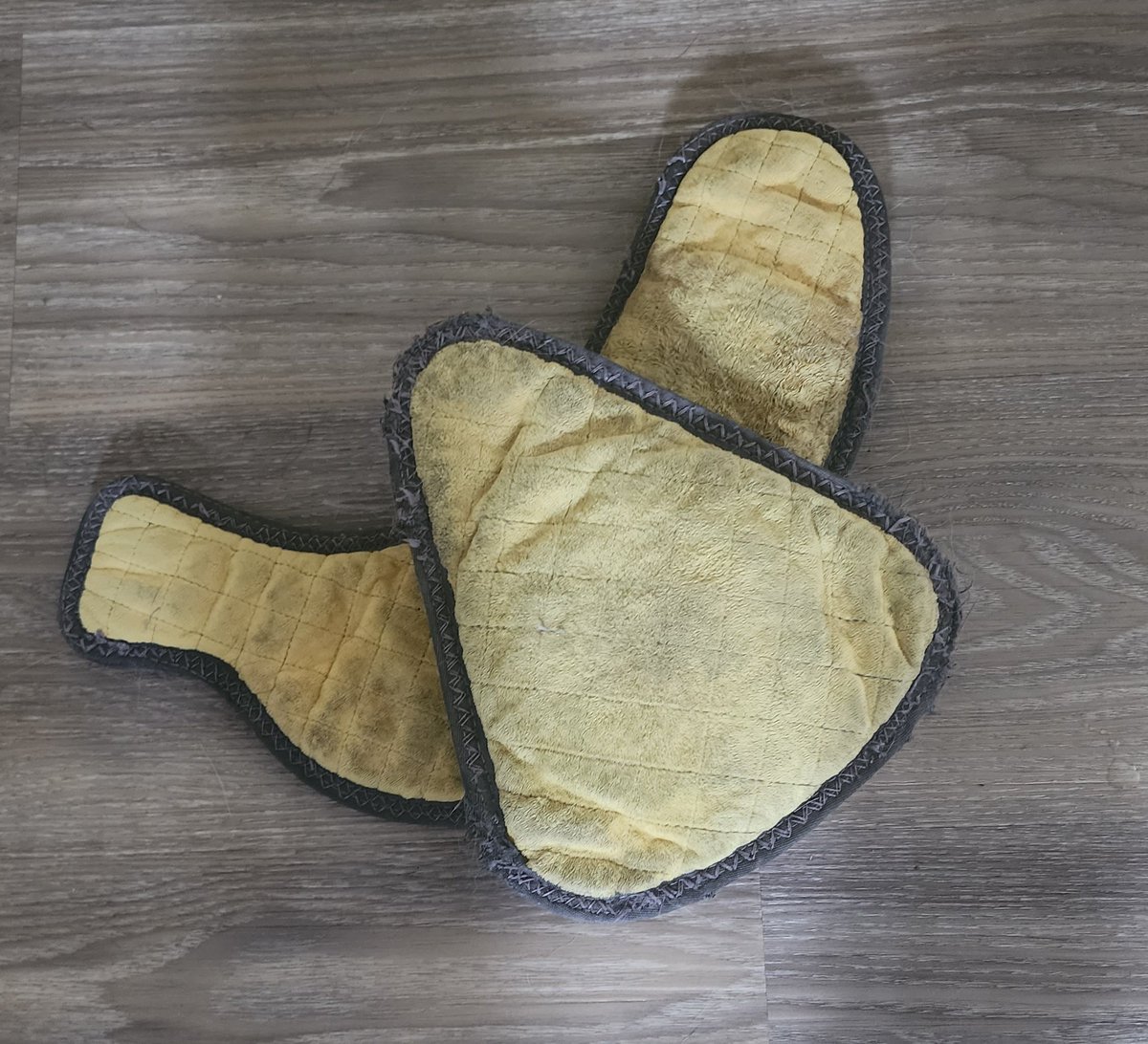thesandwichard's tweet photo. My dog toys are communist https://t.co/zGmQbv2tEZ
