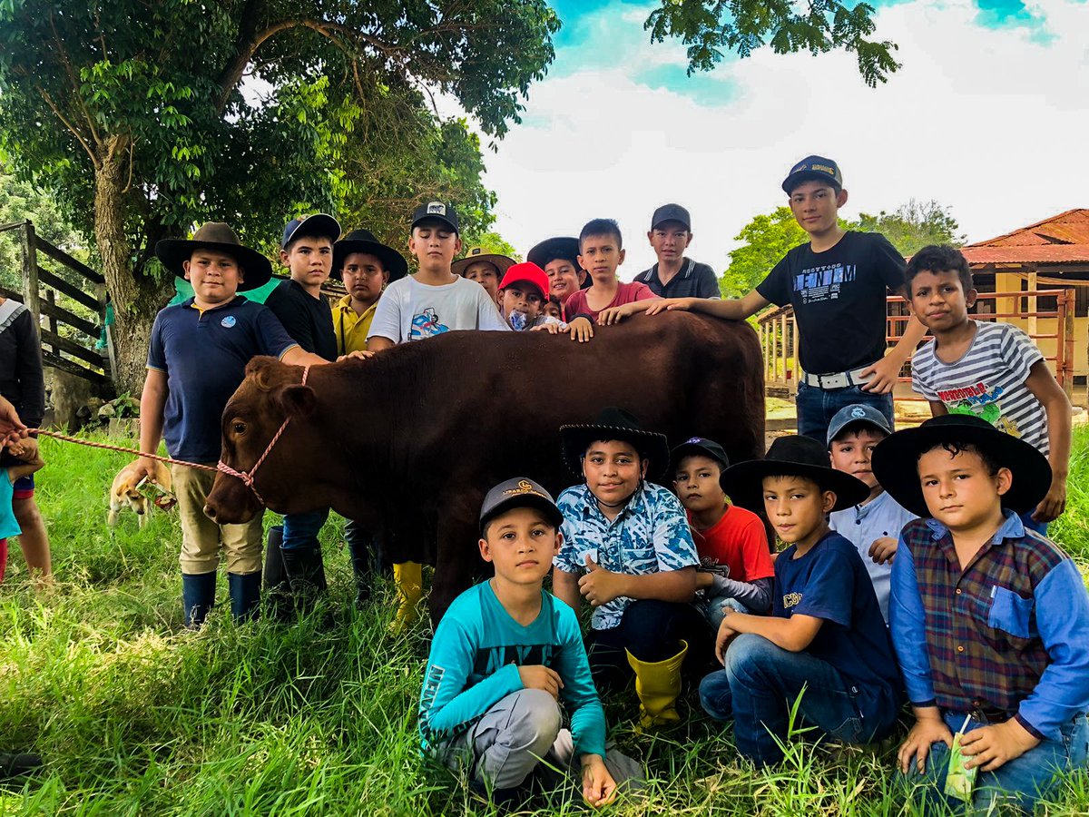 Comité Ganaderos Tame tweet media