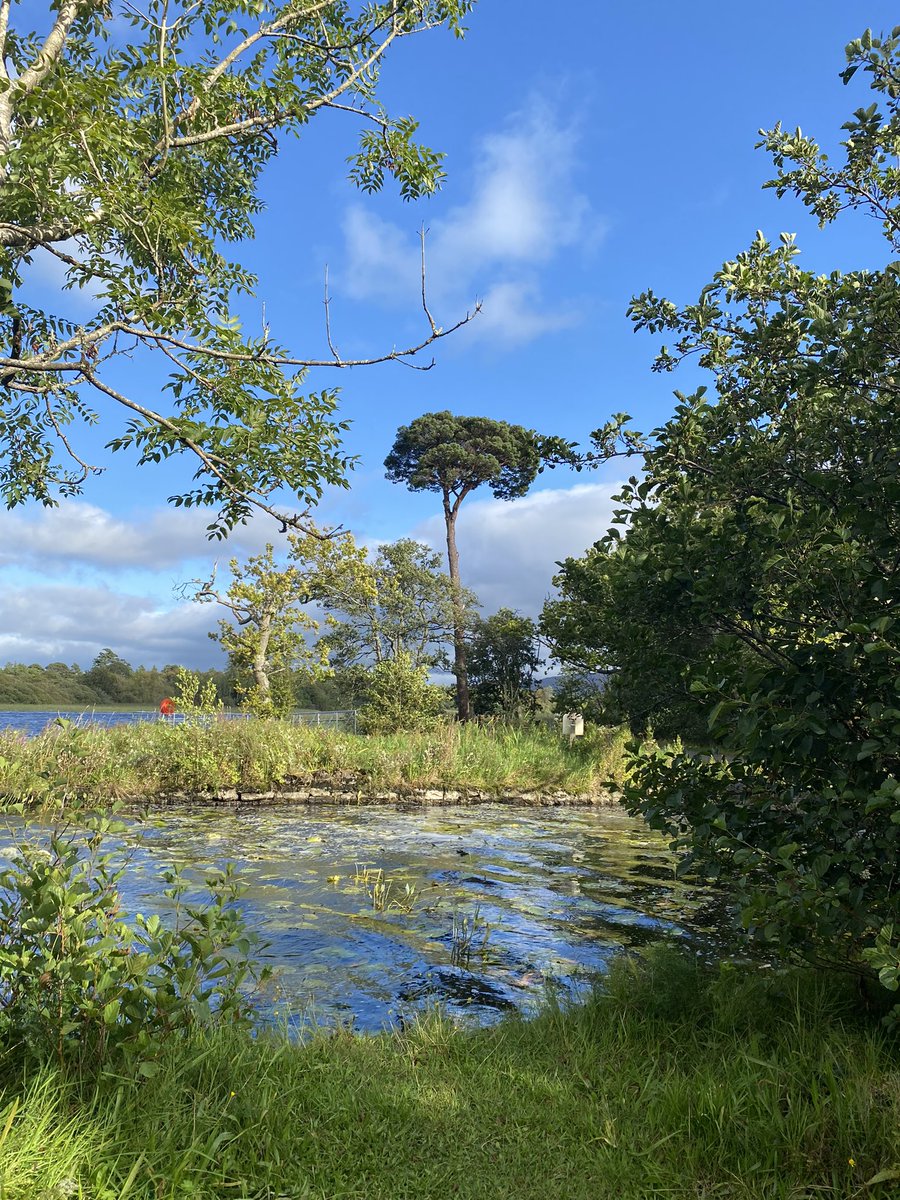 jackiemcguin's tweet photo. Day 1699 of #1700daysofwalking #DoorlyPark #365crew Sunshine after the rain #Sligo https://t.co/3PrEDzUWZ4