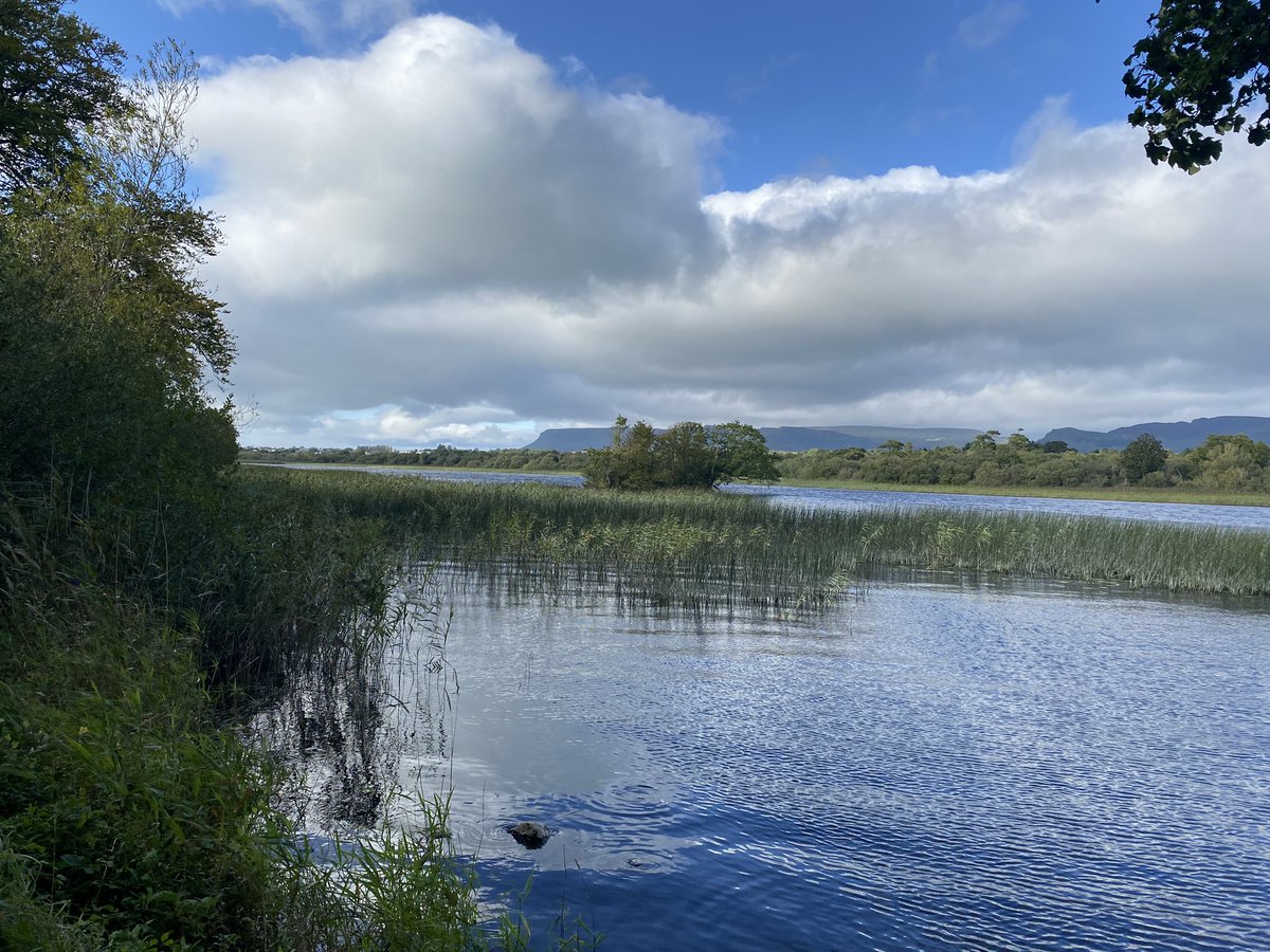 jackiemcguin's tweet photo. Day 1699 of #1700daysofwalking #DoorlyPark #365crew Sunshine after the rain #Sligo https://t.co/3PrEDzUWZ4