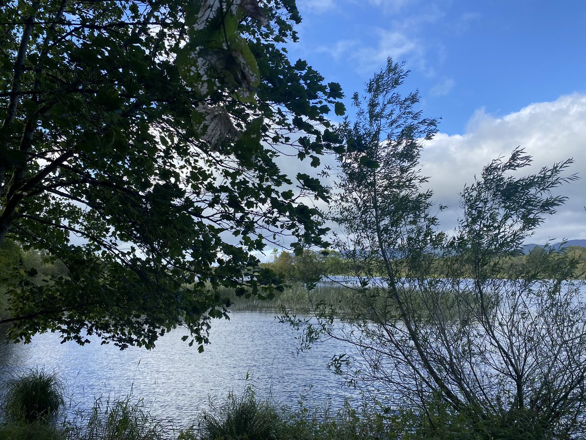 jackiemcguin's tweet photo. Day 1699 of #1700daysofwalking #DoorlyPark #365crew Sunshine after the rain #Sligo https://t.co/3PrEDzUWZ4