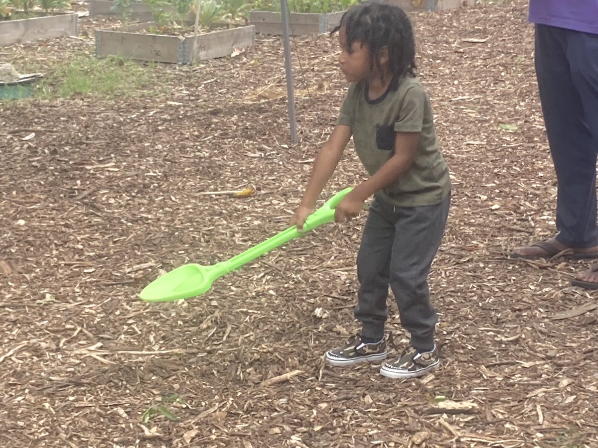 Steven Spearie (@stevenspearie) on Twitter photo Three-year-old Adrian Jr. practices his gardening skills at the opening of Motherland Gardens in Springfield, Ill. The eastside organization is the brainchild of Yves Doumen. Visit our website for.<a href="/__TiffaniJ/">Tiffani J.</a>’s profile of Yves.
#SJRBreaking Three-year-old Adrian Jr. practices his gardening skills at the opening of Motherland Gardens in Springfield, Ill. The eastside organization is the brainchild of Yves Doumen. Visit our website for.<a href="/__TiffaniJ/">Tiffani J.</a>’s profile of Yves.
#SJRBreaking