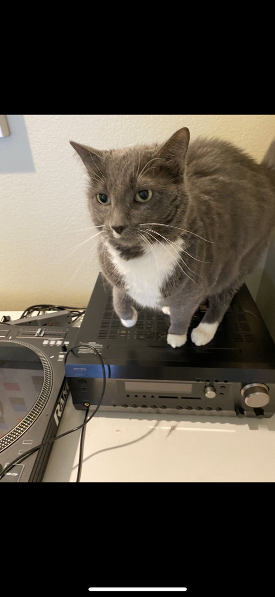 Kovu_Cos's tweet photo. @thewallsateme https://t.co/HlOxhwN7D1