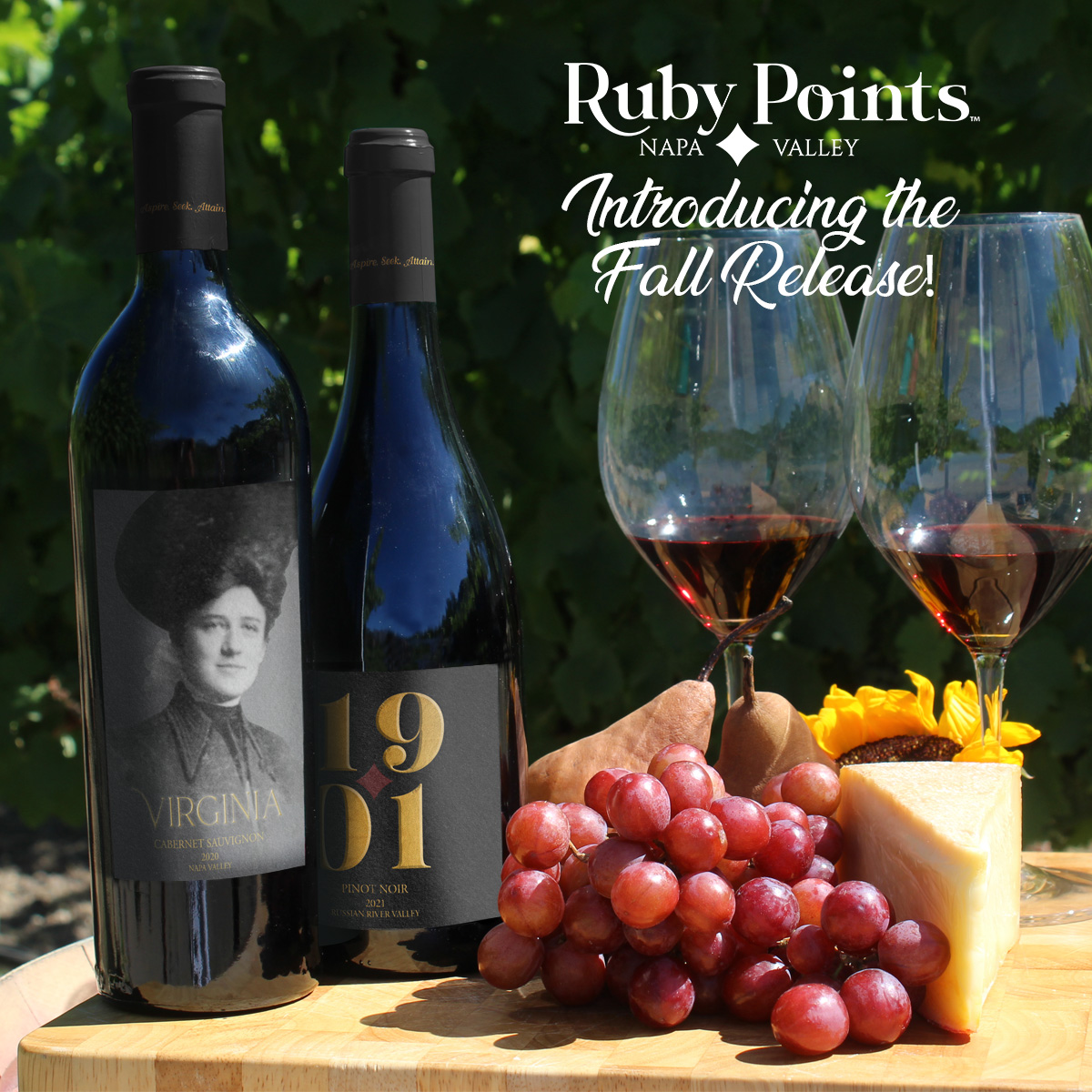 asaHQ's tweet photo. Great ready, wine lovers! Here’s a sneak peek from Ruby Points Napa Valley, our official wine brand and club’s new Fall 2023 releases. Join the Ruby Points Club today at https://t.co/btzghdFEth 🍷#RubyPointsNapaValley https://t.co/Xh1Xu1r868