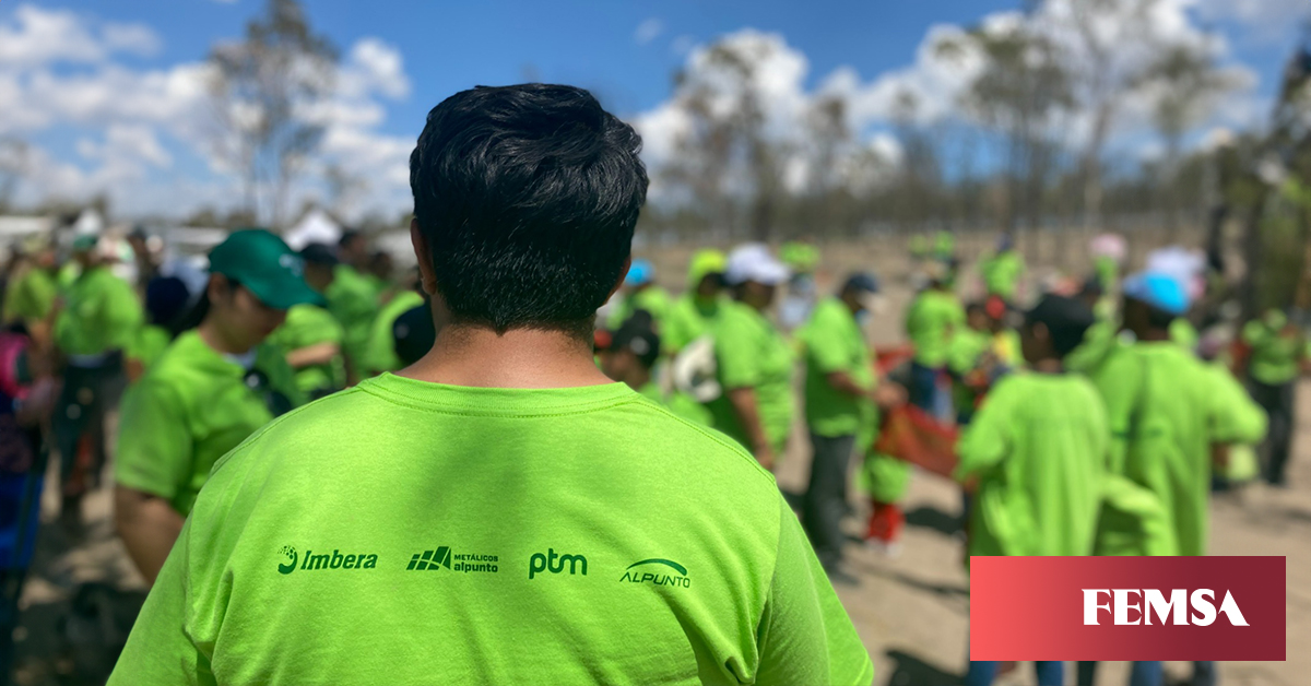 FEMSA's tweet photo. La Reforestación 2023 dejó huella en la comunidad de Cazadero, +500 voluntarios entre vecinos de la comunidad, colaboradores y familiares de #Imbera, #AlPunto y @PTM_Solutions, lograron plantar un total de 2,000 árboles.
Conoce más de la iniciativa ➡️ https://t.co/6oCsiLlRjH https://t.co/BUzFm8Fa2f