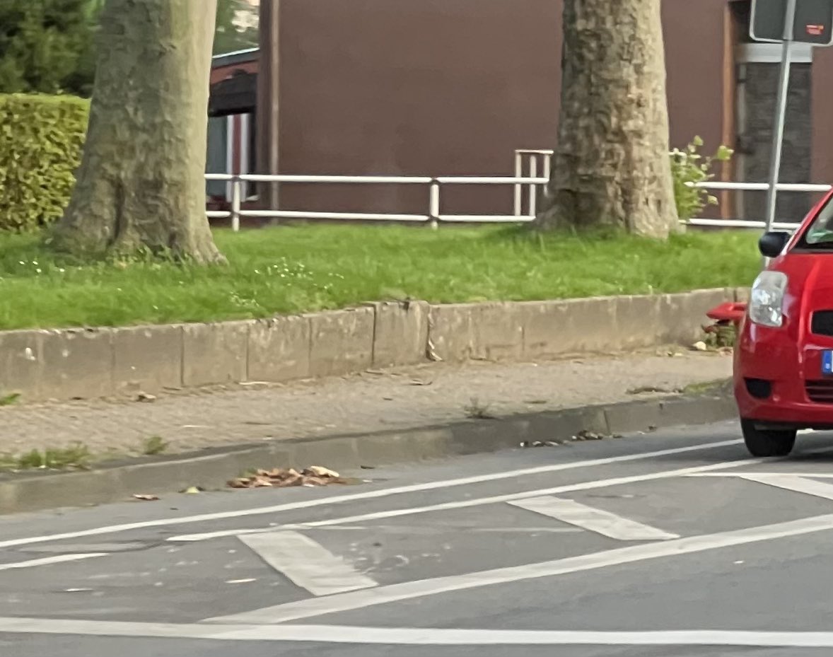 geelinde's tweet photo. Hier nochmals mit einem geparkten Auto zu sehen (OK, der steht vorne etwas über den Parkstreifen und auch in die Dooring-Zone, aber das macht den Fahrstreifen für Fahrräder nicht besser) https://t.co/nH8Z7bHAj5