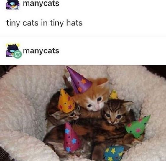 WholesomeMeme's tweet photo. https://t.co/9XEX75xjNC