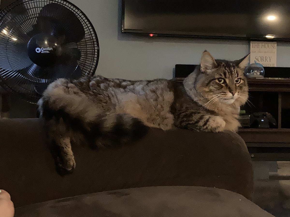 not a singel thot behind thos eye’s