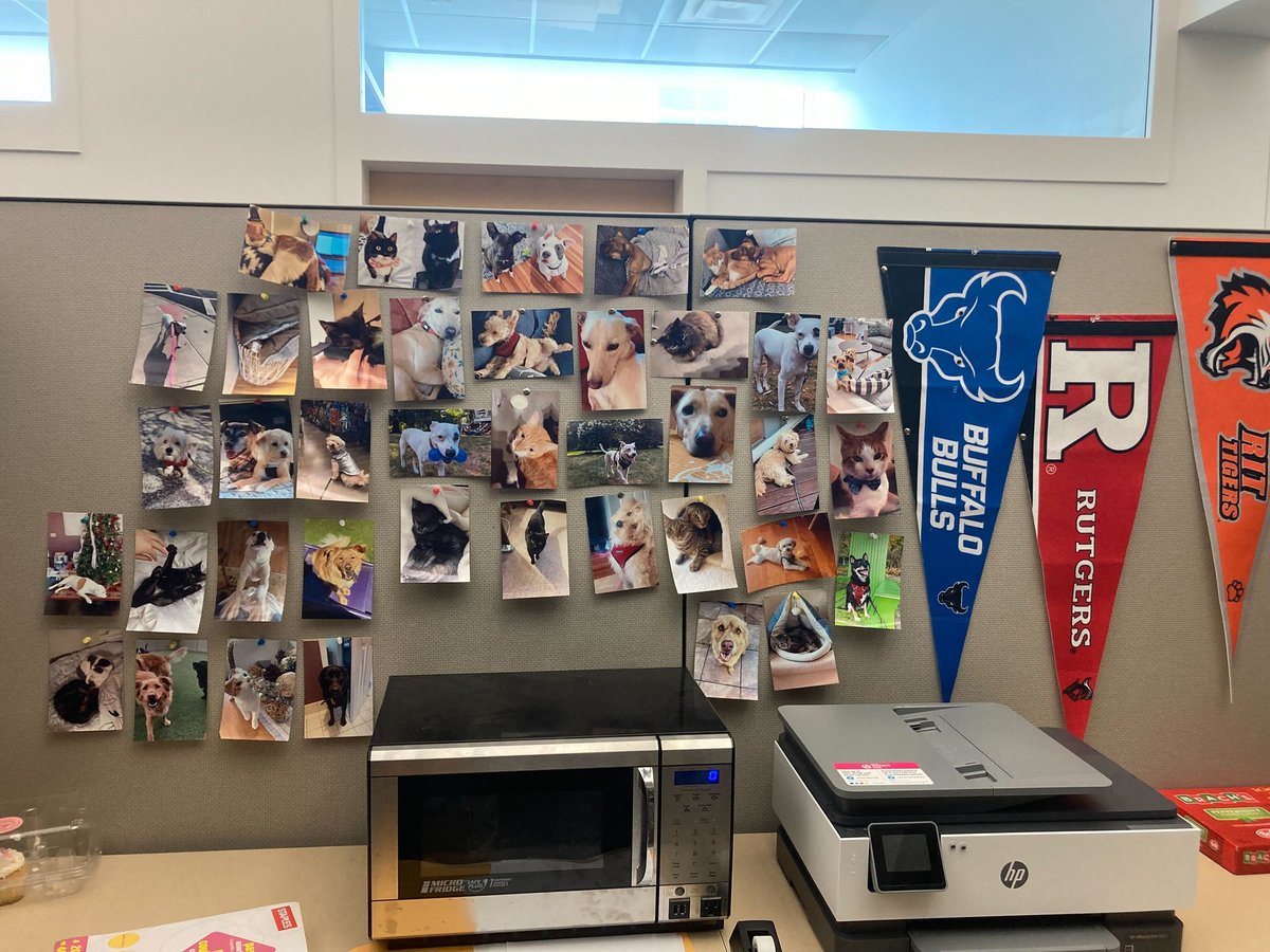 Every day is like national pet day in the Tutwiler lab! 

Happy national #dog day from all the pets of the lab!! 

@BMERutgers #puppiesoftwitter @rebecca_risman @olivia_d_parker @RanjiniKRaman @An_Gosselin