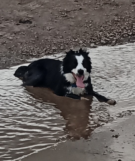 Kim Moss tweet media