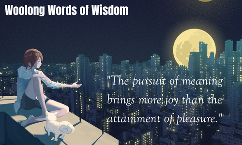 Woolong Words of Wisdom
woolongs.com