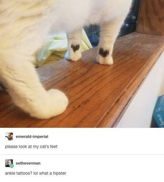 WholesomeMeme's tweet photo. https://t.co/4QPZkFNwhz
