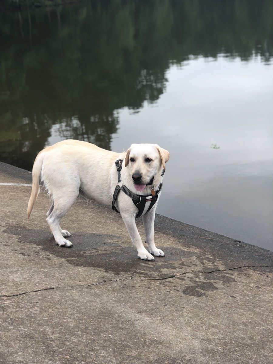 Cindi R Parker tweet media