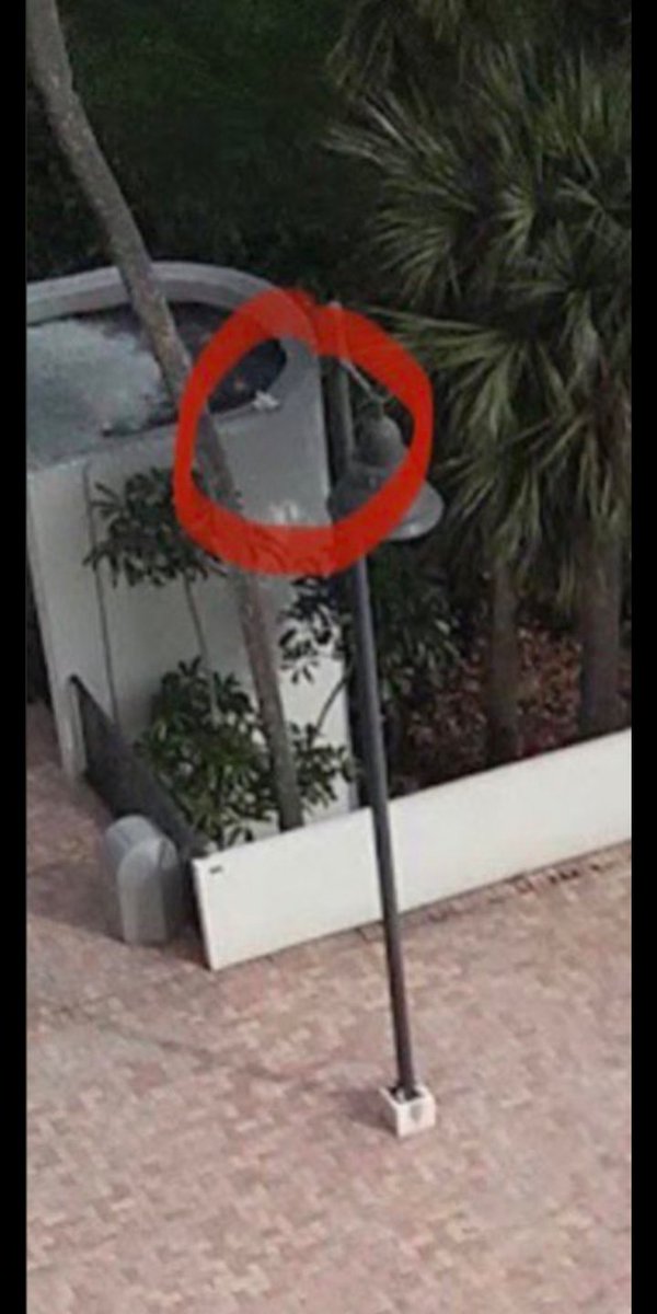 Seedra116's tweet photo. ALL STREETS HAVE CAMERAS, AND EVERYONE IN FLORIDA TAMPA KNOWS THERE ARE CAMERAS AT EVERY INTERSECTION, ON WALKING STREETS, IN LUXURY HOTELS, AND ON THE STREET WHERE CAMERON AND JOHN ACCIDENT HAPPENED🎥
#Justice4CameronHerrin #Kudus #MexicoCityTSTheErasTour #darwinprotocol https://t.co/8p6ehEGlB2