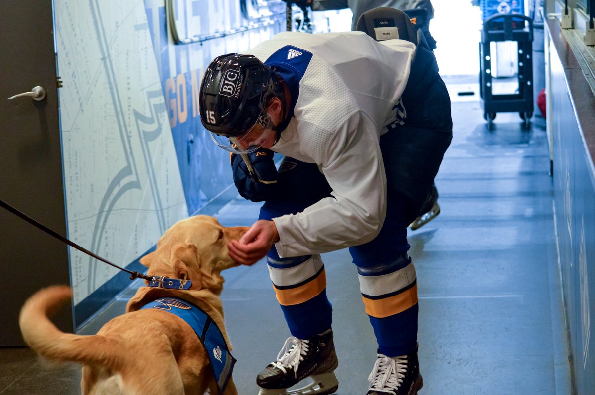 StLouisBlues's tweet photo. Barclay appreciation post for International Dog Day 🐶💙 https://t.co/66hxVzKffH