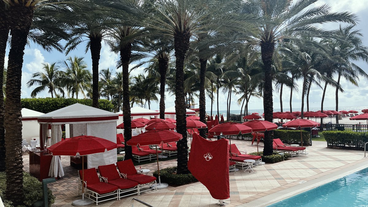 Adult-only pools are a must, especially at luxury hotels. There's nothing quite like having a peaceful and relaxing vacation without the noise and commotion of other people's kids. Enjoy a well deserved peaceful getaway at Acqualina! 🌴🌊 #AdultsOnly #LuxuryVacation