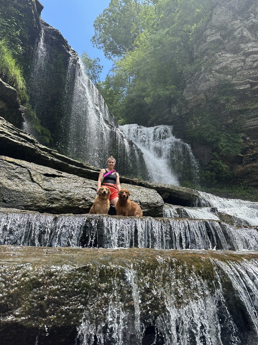 Taylor Zimmerman tweet media