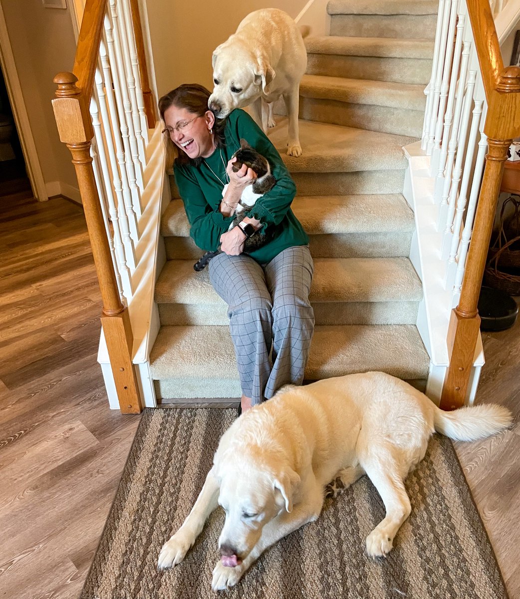 Happy #InternationalDogDay! Celebrating my 2 1/2 dogs — Blitz, the Alpha dog rescue cat, alongside our pawsome English Labs Captain and Buddy. At our house, every day is dog day!🐾 #doglover #dogday