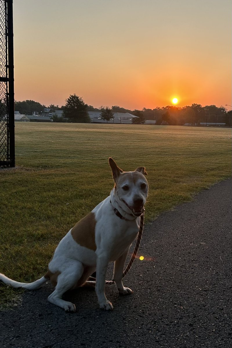 Dr. Cathy Eng tweet media