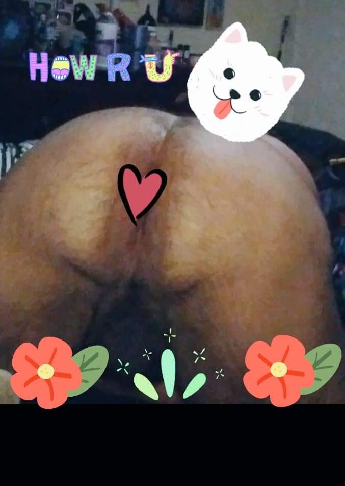 its_lobos's tweet photo. @joao2free Mr doggy is ready(: ❤️🐶❤️ https://t.co/QhFGfGmHgw