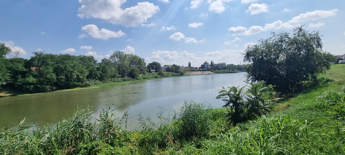 ZakomplikovAna's tweet photo. Naša banatska avantura...
#zrenjanin #kikinda #begej #tisa https://t.co/PreWzZ2RVl