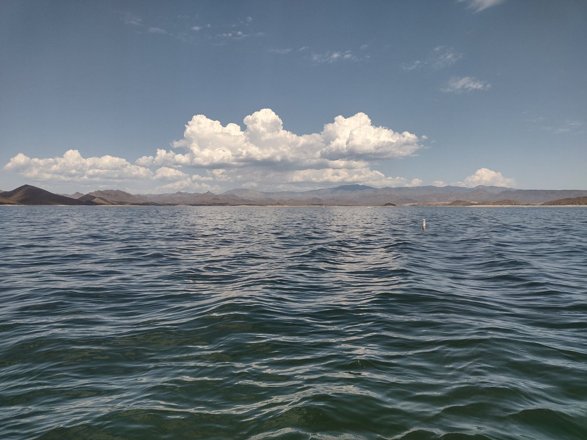 Beautiful day in the lake today!